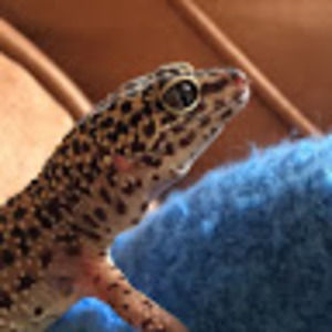 Meet your Posher, Annika